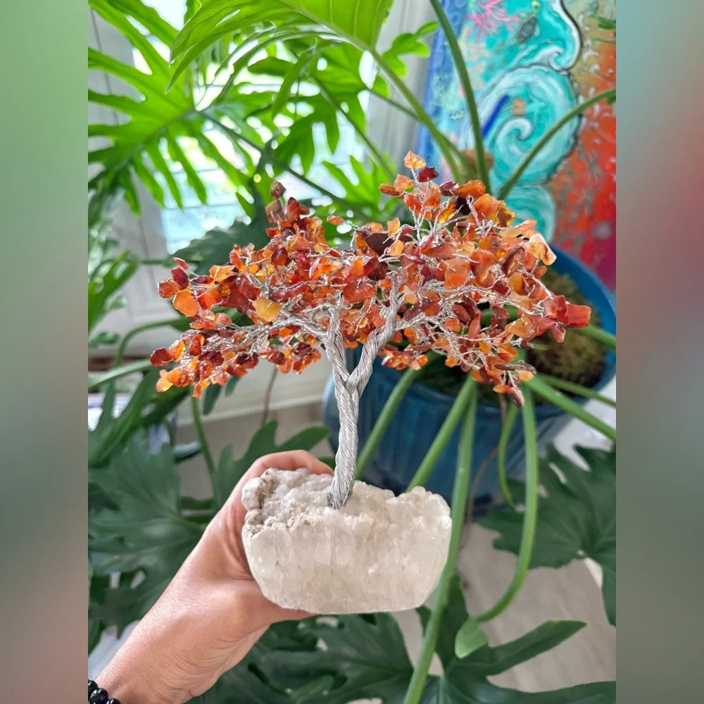 N/A carnelian tree